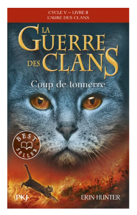 LA GUERRE DES CLANS CYCLE V - TOME 2 COUP DE TONNERRE
