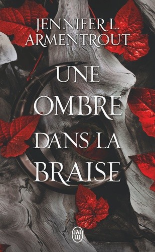  La chair et le feu Tome 1  