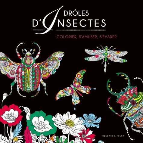  Drôles d'insectes  