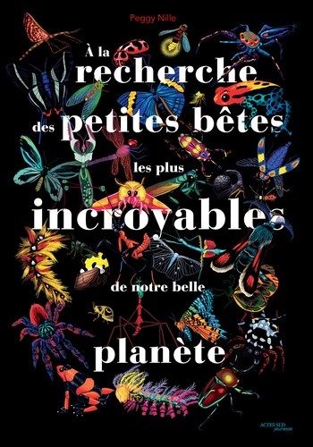  À la recherche des petites bêtes les plus incroyables de notre belle planète 