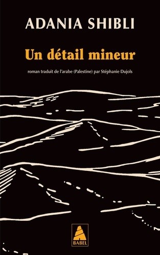  Un détail mineur  