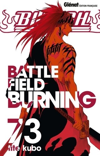  Bleach Tome 73  