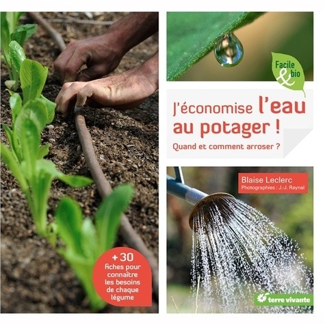  J'économise l'eau au potager ! - Quand et comment arroser ?  