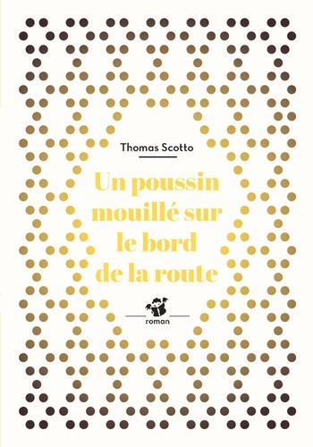  Un poussin mouillé au bord de la route  