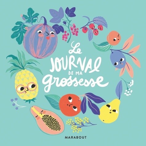  Le journal de ma grossesse  