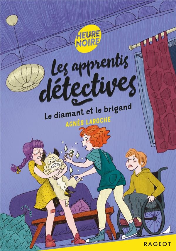  Les apprentis détectives t.6 ; le diamant et le brigand 