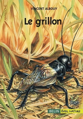  Le grillon 