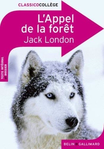  L'Appel de la forêt  