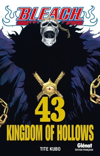  Bleach Tome 43  