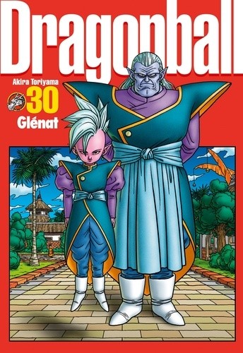  Dragon Ball perfect edition Tome 30  