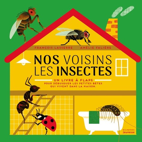  Nos voisins les insectes - Un livre à flaps pour débusquer les petites bêtes qui vivent dans la maison  