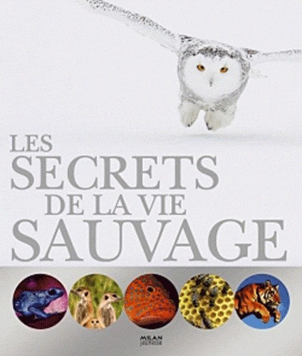  Secrets de la vie sauvage 