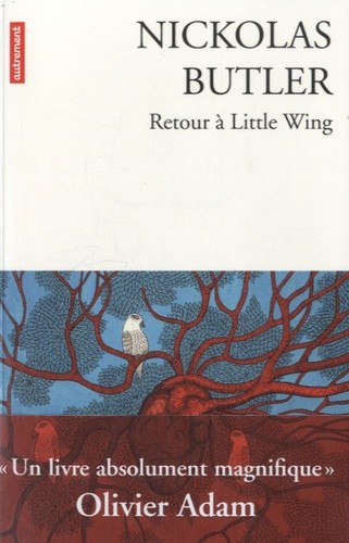  Retour à Little Wing  