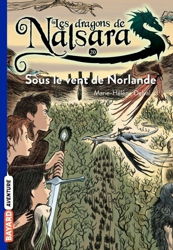  Les dragons de Nalsara Tome 20  