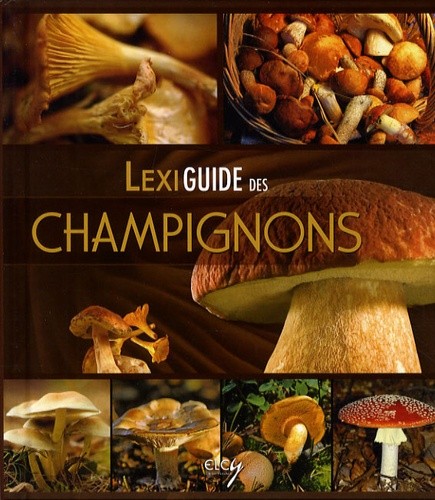  Lexiguide des champignons 
