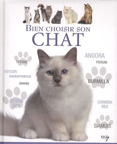  Bien choisir son chat - Guide des animaux 