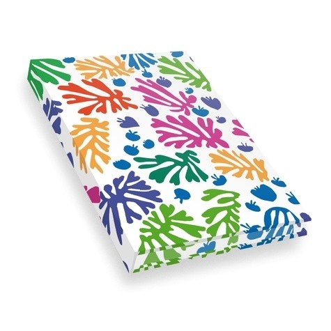  Carnet Hazan pleine toile Matisse - La perruche et la sirène  