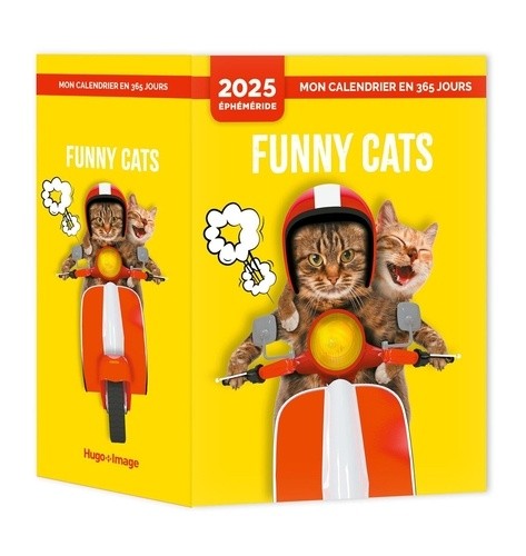  Lol cats 2025 