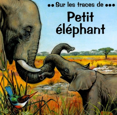  Petit éléphant  