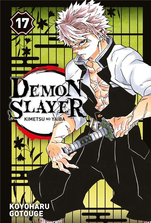  Demon slayer t.17 