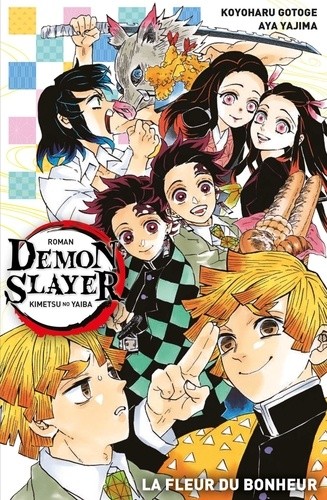  Demon Slayer Roman Tome 1  