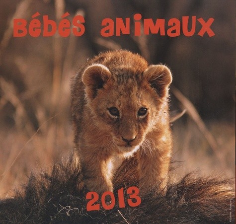  Calendrier bébés animaux 2013 