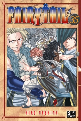  Fairy Tail Tome 35  