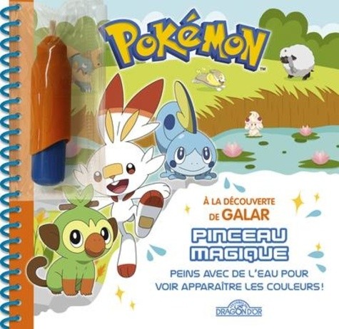  Pokémon : A la découverte de Galar - Peins avec de l'eau pour voir apparaître les couleurs !  