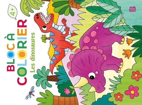 Bloc à colorier : Les dinosaures 