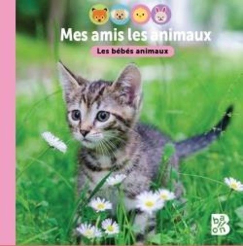  Les bébés animaux  