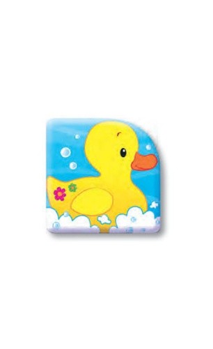  Canard  