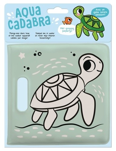  Tortue  