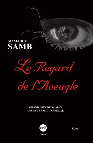  Le regard de l'aveugle  