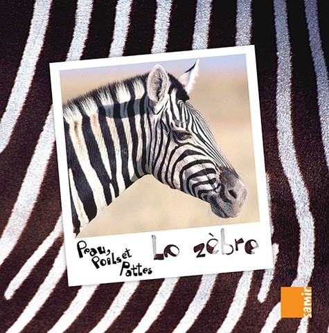  Le zèbre 