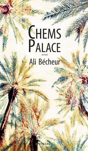  Chems Palace  