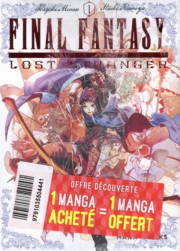  Final Fantasy Lost Stranger  