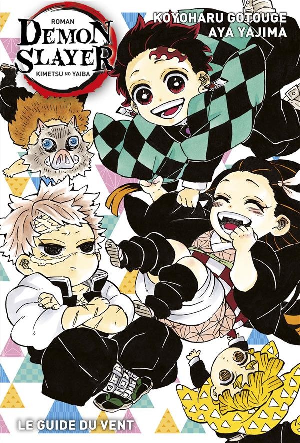  Demon slayer t.3 