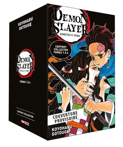  Coffret Demon Slayer T01 à T06 