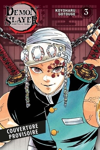  Demon Slayer - Edition Pilier T03 